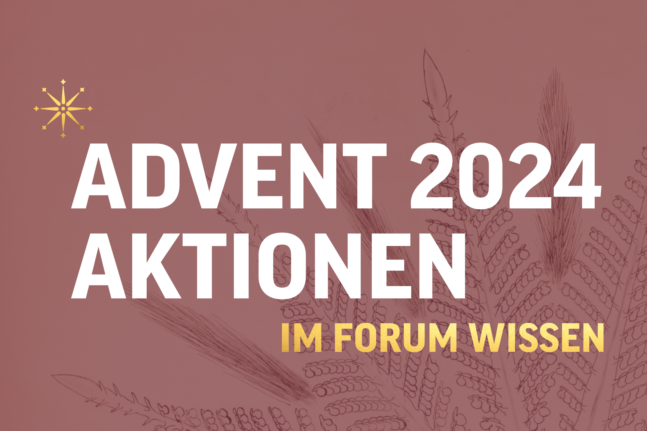 FW_Advent24_Kalender _1008x672.png